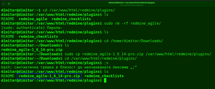 14_agile_copied_file_terminal.png