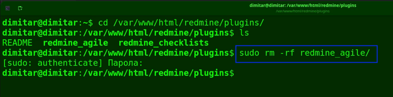 07_agile_delete_command.png