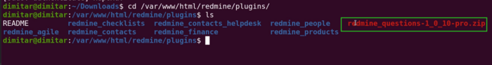 questions_05_zip_copied_terminal.png