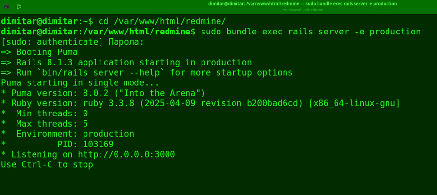 20_agile_restarted_redmine_terminal.png
