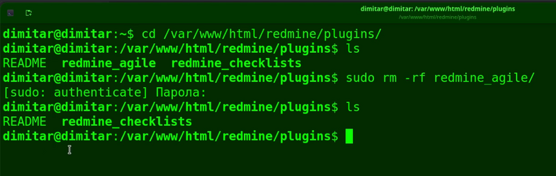 08_agile_list_files_deleted_terminal.png
