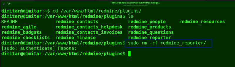 07_reporter_delete_command.png