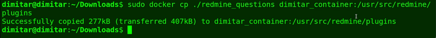 10_questions_copied_file_in_container.png