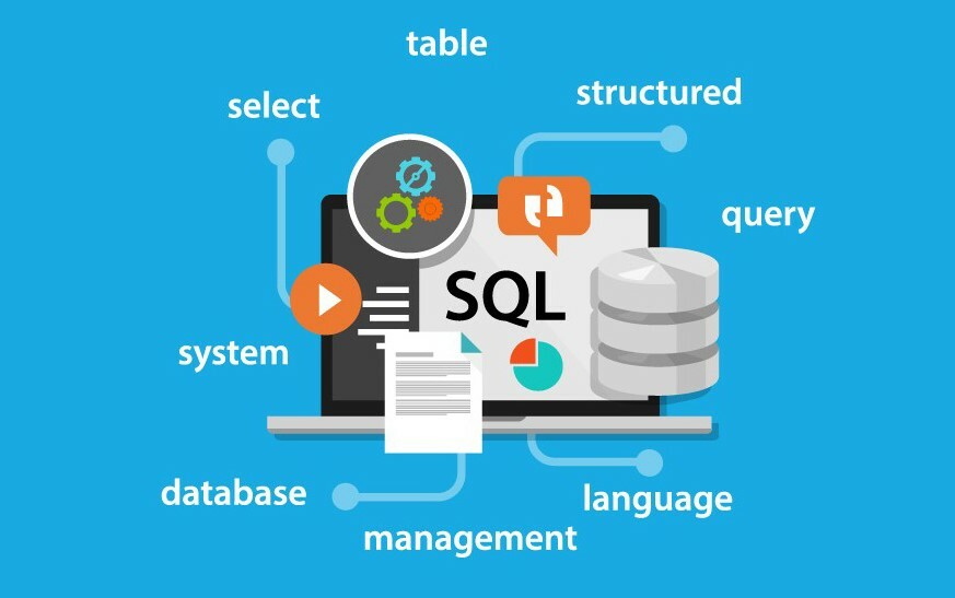 Which Redmine Database Is the Best?