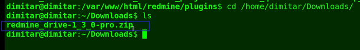 11_drive_new_version_downloads_folder_terminal.png