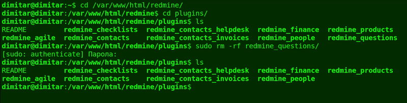 08_questions_list_files_deleted_terminal.png