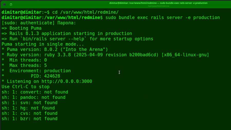20_checklists_restarted_redmine_terminal.png
