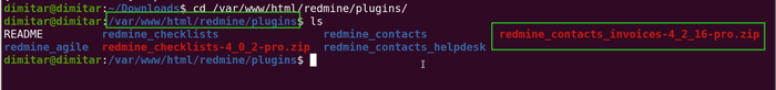 invoices_05_zip_copied_terminal.png