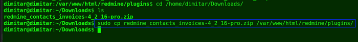 12_invoices_copy_command.png