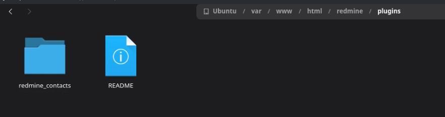 drive_09_no_plugin_file_system.png
