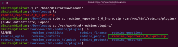 reporter_05_zip_copied_terminal.png