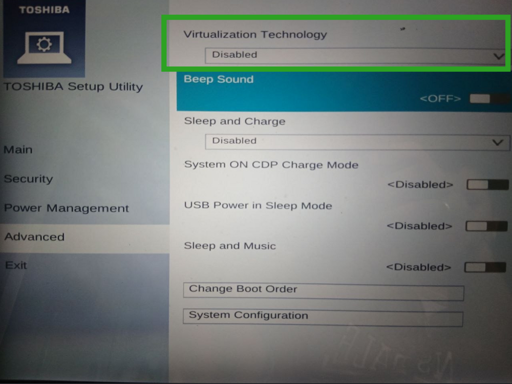 virtualization_swtich_bios_setup.png