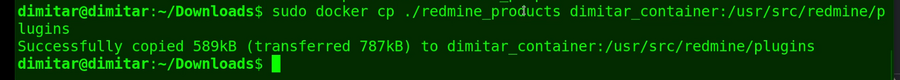 10_products_copied_file_in_container.png