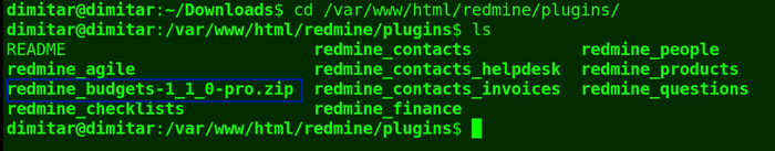 14_budgets_copied_file_terminal.png