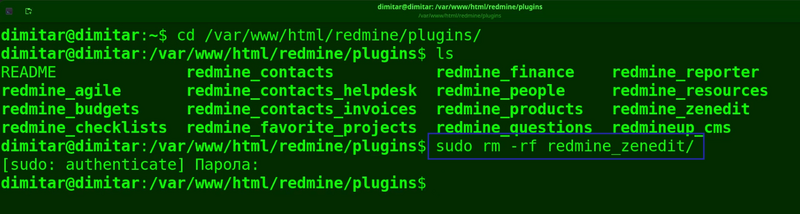 07_zenedit_delete_command.png