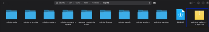 13_budgets_copied_files_system.png