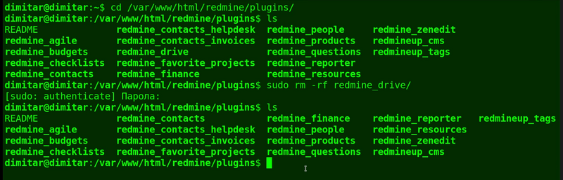 08_drive_list_files_deleted_terminal.png