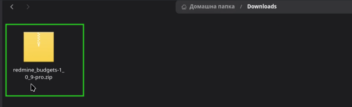 budgets_01_file_in_downloads_folder.png