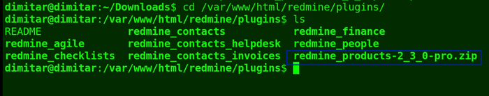 14_products_copied_file_terminal.png