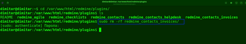 07_invoices_delete_command.png
