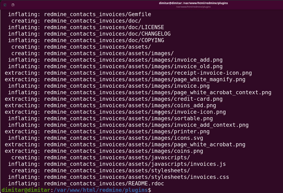 invoices_06_unzip_rows.png