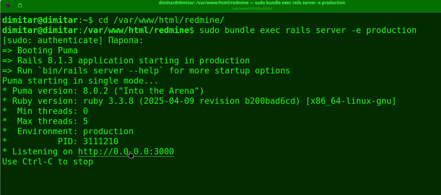 20_reporter_restarted_redmine_terminal.png
