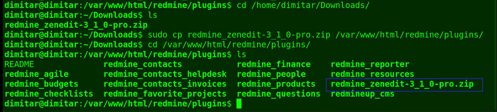 14_zenedit_copied_file_terminal.png