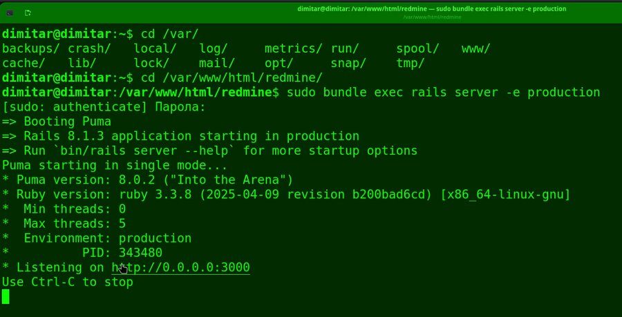 20_contacts_restarted_redmine_terminal.png