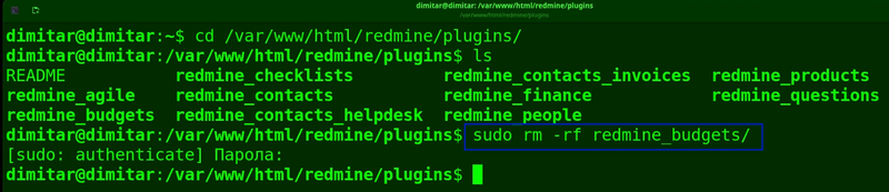 07_budgets_delete_command.png