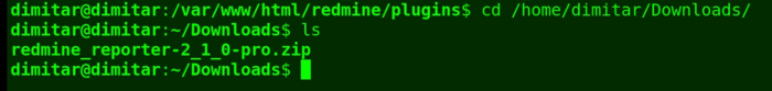 11_reporter_new_version_downloads_folder_terminal.png