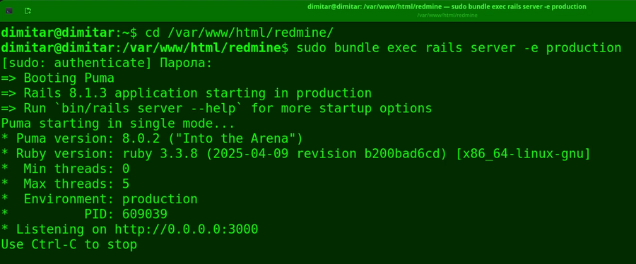 20_invoices_restarted_redmine_terminal.png