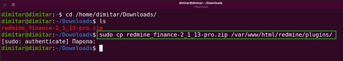 finance_03_zip_file_copy_command_in_terminal.png