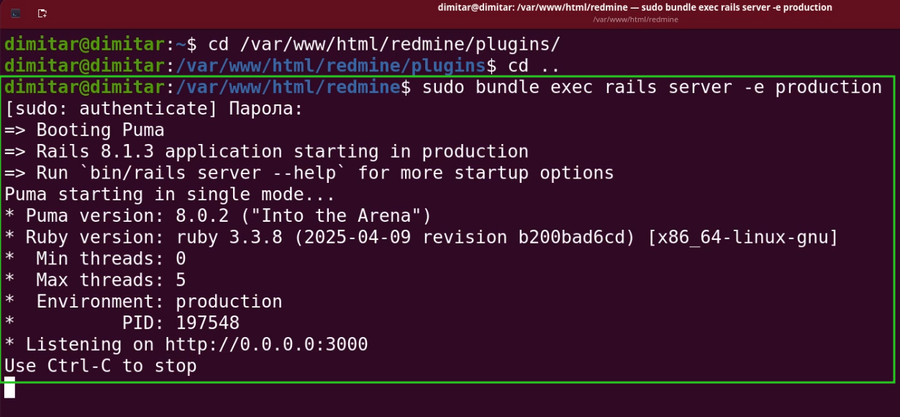 invoices_11_new_started_redmine.png