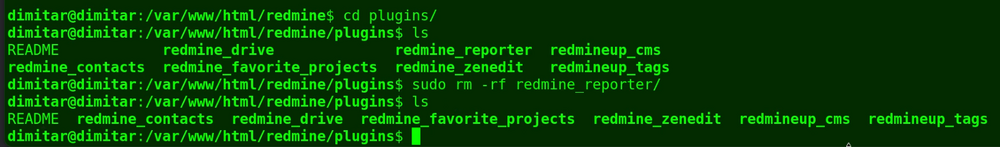 reporter_08_no_plugin_terminal.png