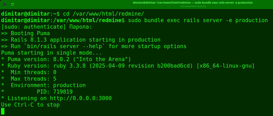20_finance_restarted_redmine_terminal.png