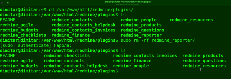 08_reporter_list_files_deleted_terminal.png