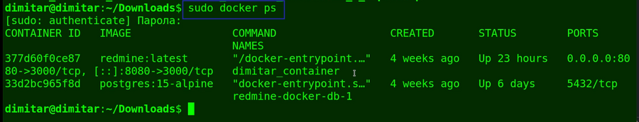 08_invoices_sudo_docker_ps.png