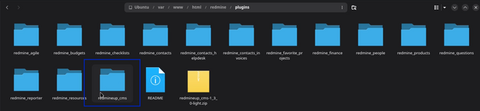 17_cms_unzipped_files_system.png