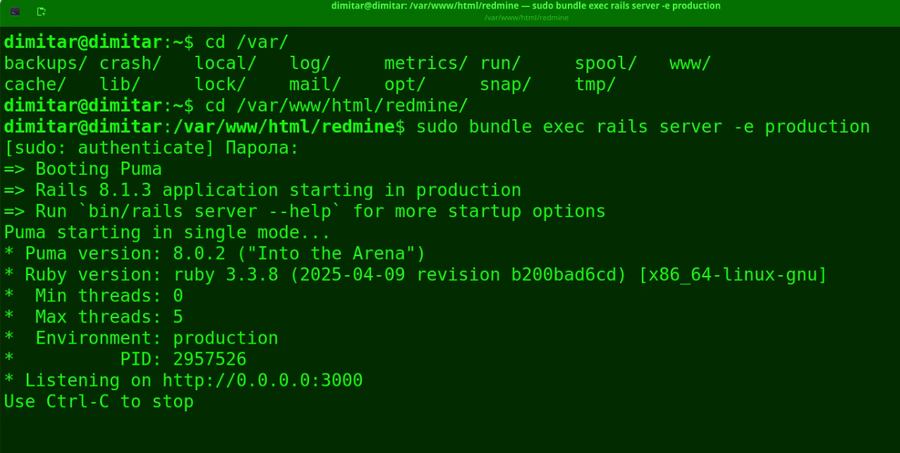20_resources_restarted_redmine_terminal.png