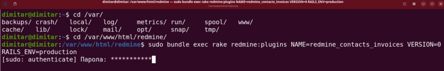 invoices_03_downgrade_database_command.png