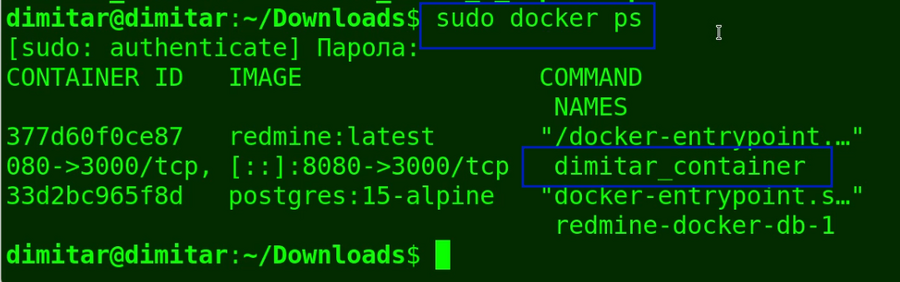 08_contacts_sudo_docker_ps.png