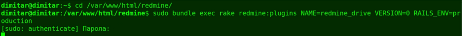 drive_03_downgrade_database_command.png