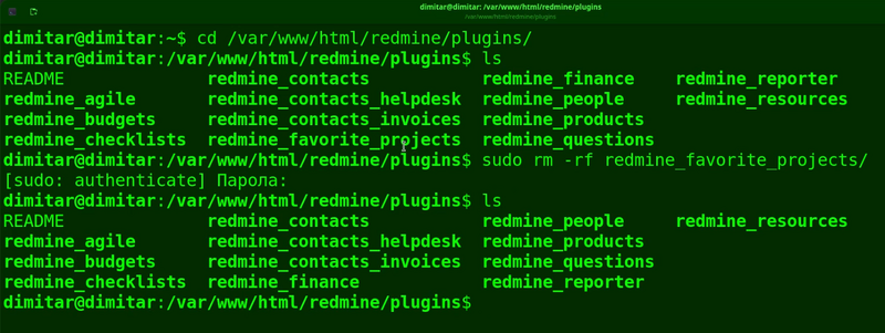 08_favorite_projects_list_files_deleted_terminal.png