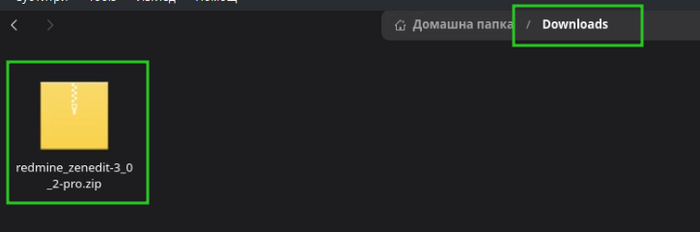 zenedit_01_file_in_downloads_folder.png