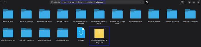13_tags_copied_files_system.png