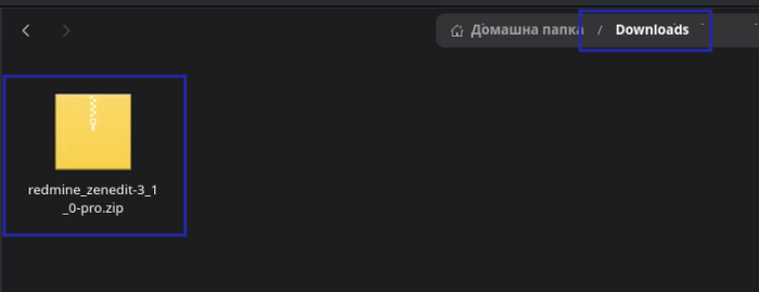 10_zenedit_new_version_downloads_folder_file_system.png
