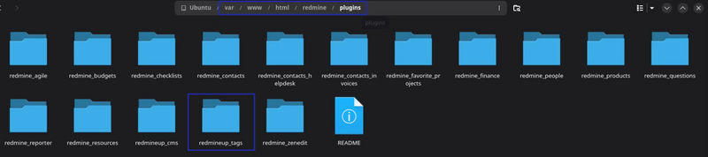 06_tags_listing_old_version_plugin_files_system.png