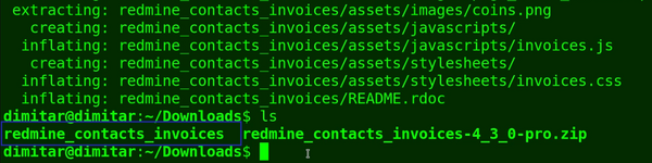 06_invoices_unzipped_folder_terminal.png
