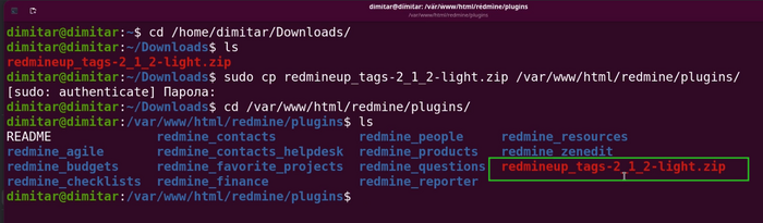tags_05_zip_copied_terminal.png