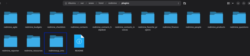 06_cms_listing_old_version_plugin_files_system.png